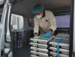 Program MBG Buka Lapangan Kerja, Warga Pacitan Kini Punya Pekerjaan Tetap