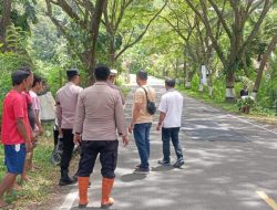 Terperosok Jalan Berlubang, Ibu-Ibu Tewas di Jalur JLS Pacitan