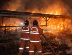 Bersihkan Sampah Kandang Sapi Milik Warga Donorojo Pacitn Terbakar