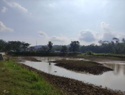 Air Telaga Kembeng Surut, Warga Ketro, Pacitan Berburu Ikan Nila