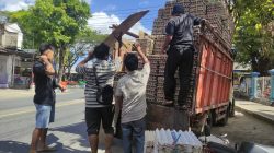 Harga Telur di Pacitan Anjlok, Peternak Lokal Kelimpungan Dihantam Pasokan dari Luar Daerah