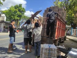 Harga Telur di Pacitan Anjlok, Peternak Lokal Kelimpungan Dihantam Pasokan dari Luar Daerah