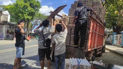 Harga Telur di Pacitan Anjlok, Peternak Lokal Kelimpungan Dihantam Pasokan dari Luar Daerah
