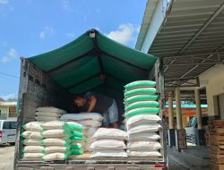 25 Merek Beras Fortifikasi Bermasalah Ditemukan Bapanas, Disdagnaker Pacitan Klaim Tak Beredar