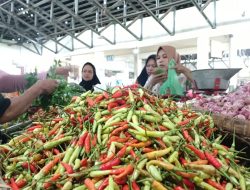 Harga Cabai Tembus Rp 70 Ribu per Kilogram, Pemkab Pacitan Siapkan Operasi Pasar