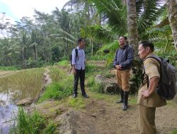 BLT DBHCHT Ringankan Beban Buruh Tani Tembakau di Pacitan